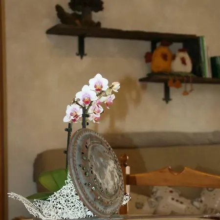 Petite Fleur *