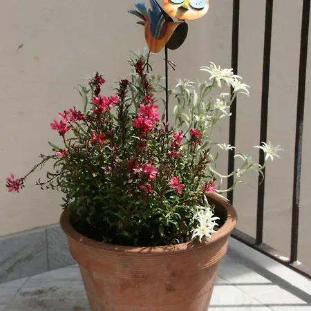 Casa vacanze Petite Fleur *