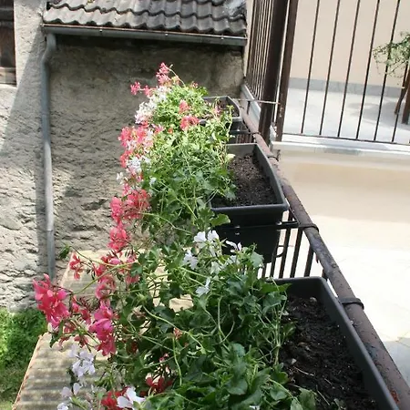 Petite Fleur Feriehus *